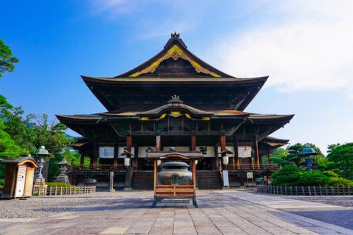 Vanuit Tokio : Privé dagtrip naar Snow Monkey & Zenkoji