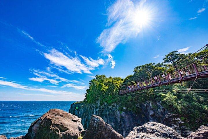 東京発 : 静岡・伊豆・下田へのプライベート日帰り旅行