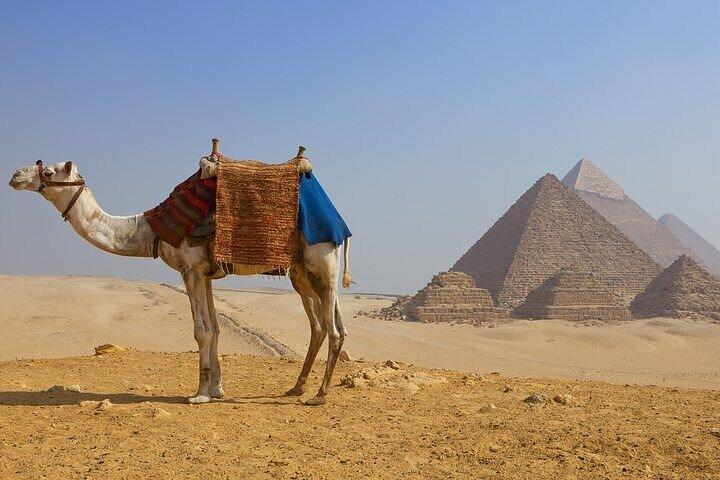 Visite privée des pyramides de Gizeh d'une demi-journée avec chameau et déjeuner