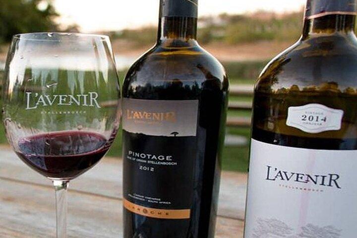 Tour de cata de vinos Stellenbosch & Paarl con transporte