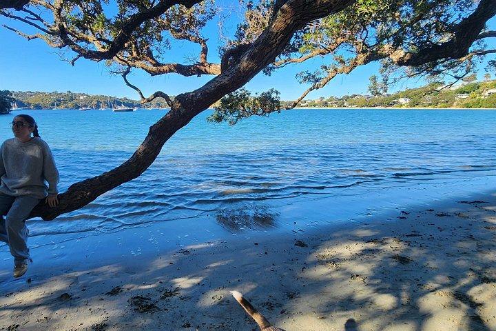 Waiheke Island Experience Tour