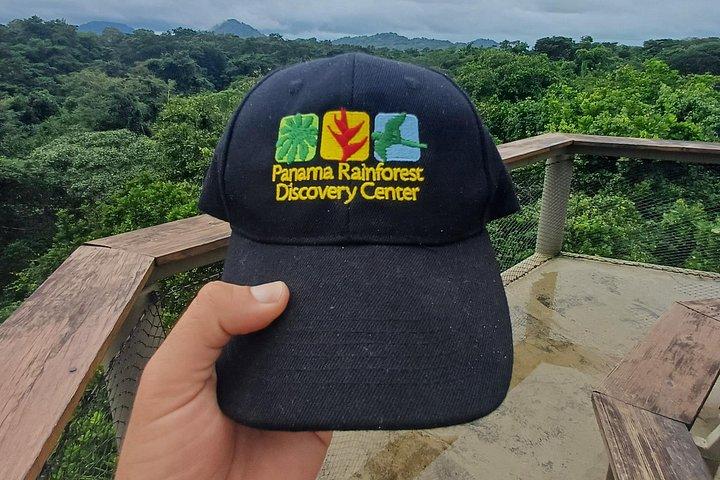 Birdwatching at the Rainforest Discovery Center