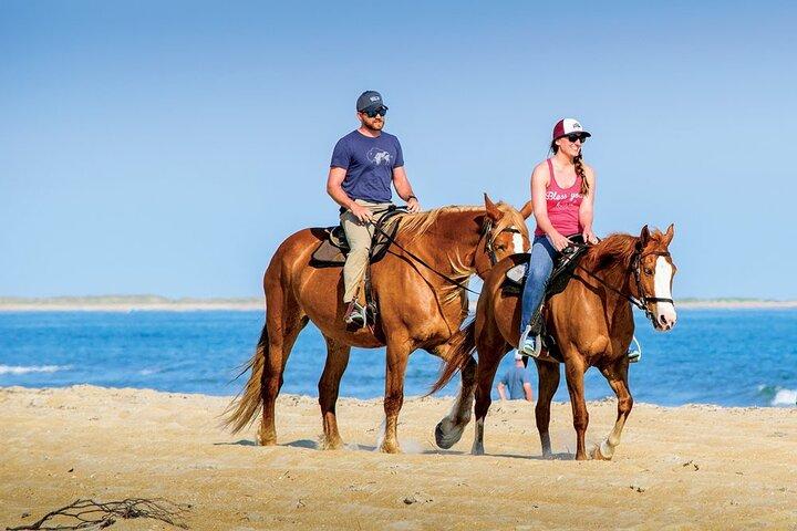 オチョ・リオスまたはランナウェイ・ベイからのプライベートツアー乗馬