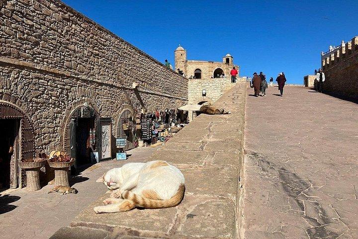 Excursion privée d'une journée à Essaouira au départ de Marrakech