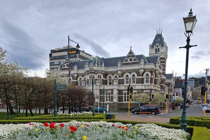 Private Dunedin and Otago Peninsula Tours up to 6 people