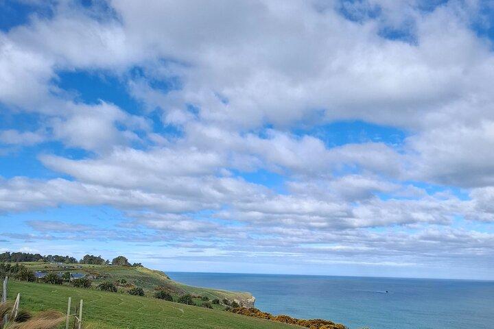 Prive Dunedin en Otago Peninsula Tours voor maximaal 6 personen