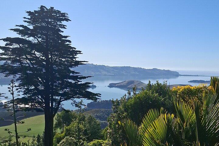 Prive Dunedin en Otago Peninsula Tours voor maximaal 6 personen