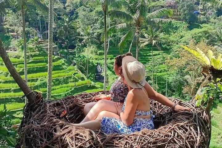 Tour All Inclusive di Ubud con Ayung Ubud Rafting