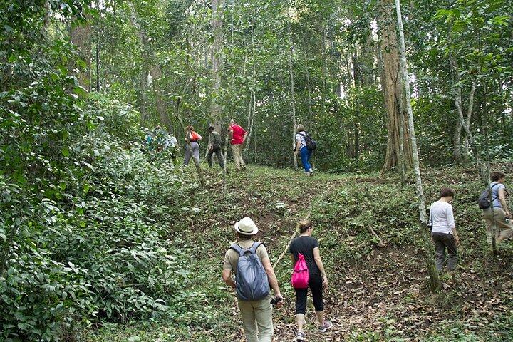 Private One Week Kerala Tour