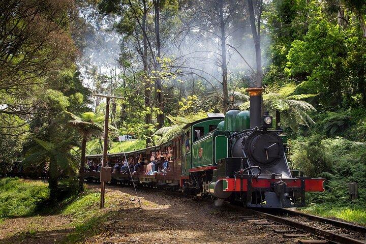 Puffing Billy Steam Train et Penguins Wildlife Tour