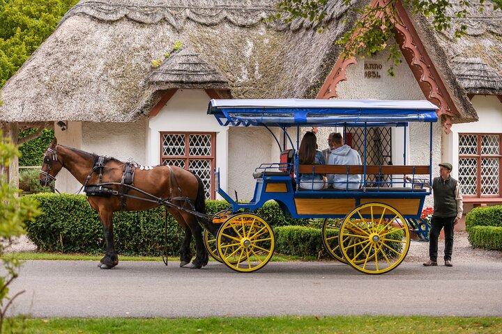 Balade privée et thé de l'après-midi à Killarney