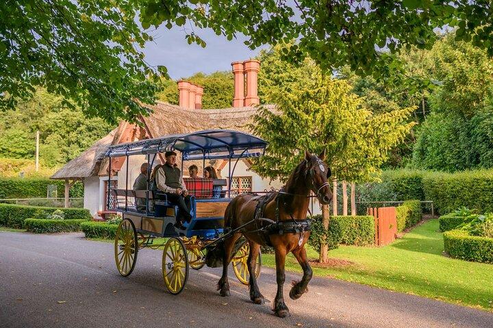 Balade privée et thé de l'après-midi à Killarney