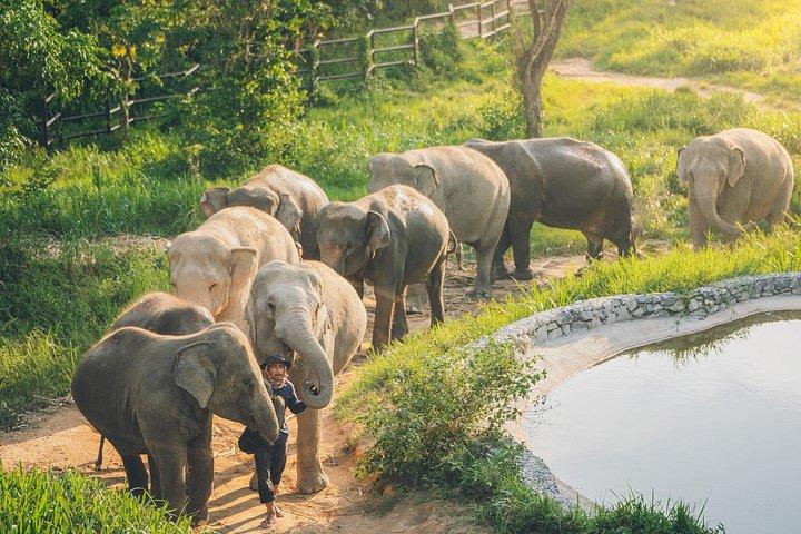 サムイゾウ王国エシカルサンクチュアリとスカイウォークツアー