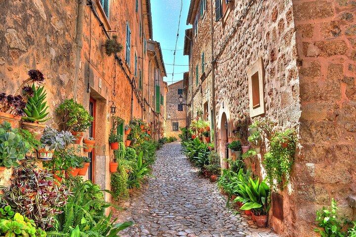 Tour Privado a Valldemossa y Deia