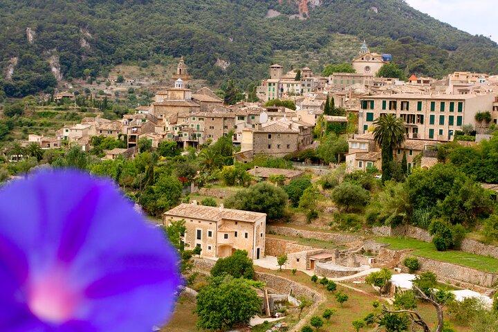 Excursão privada a Valldemossa e Deia