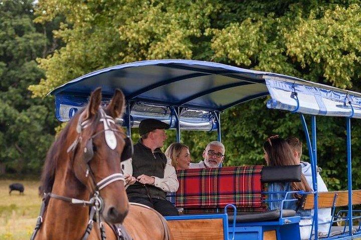Whiskey & Wonders i Killarney