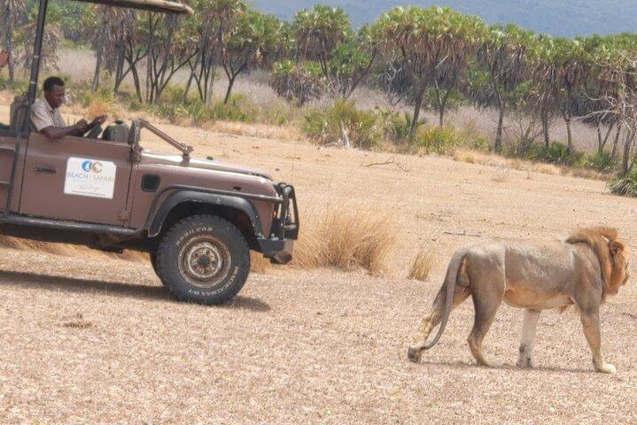ザンジバルから: フライトと食事付きミクミサファリ日帰り旅行