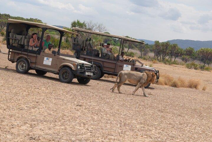 ザンジバルから: フライトと食事付きミクミサファリ日帰り旅行