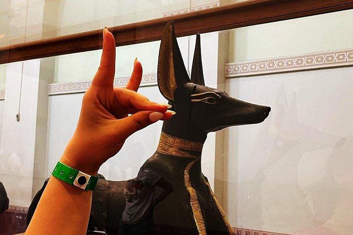 音と光のショーで巡るカイロピラミッドと博物館ツアー