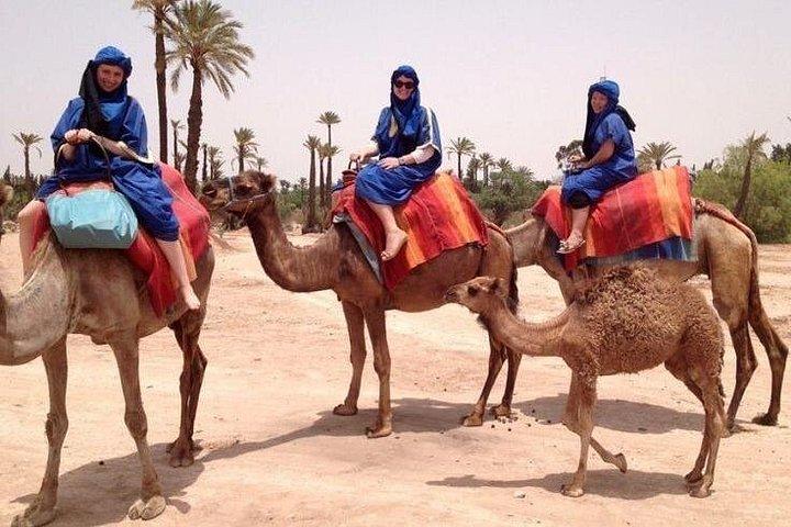 Palmeraie Camel Trek: En traditionell resa i Marrakech