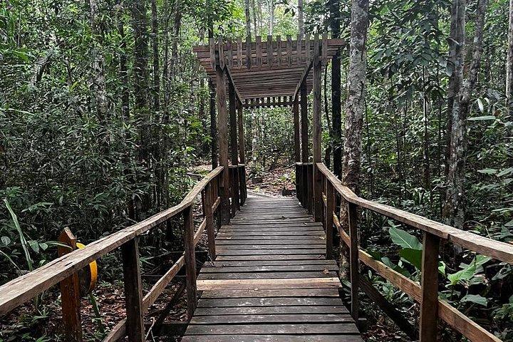 Um Dia na Floresta com Caminhadas, Cavernas e Cachoeiras