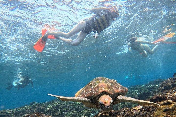 バリ島からのヌサ・レンボンプライベートシュノーケリング＆アイランドツアー