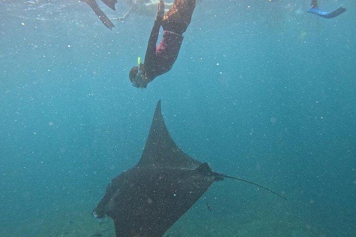 バリ島からのヌサ・レンボンプライベートシュノーケリング＆アイランドツアー