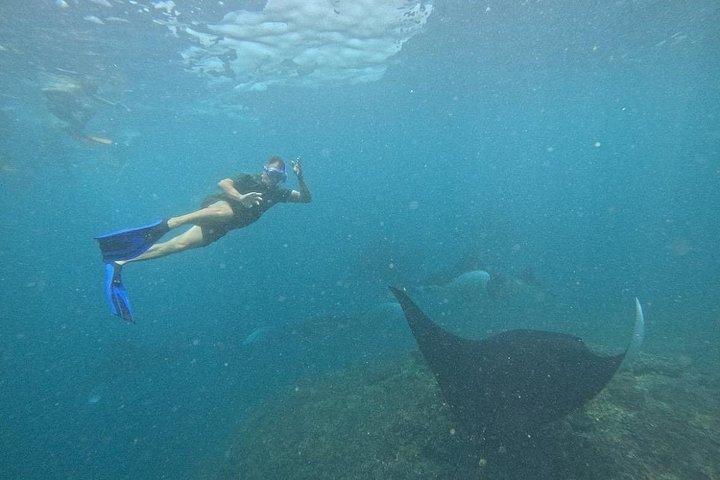 バリ島からのヌサ・レンボンプライベートシュノーケリング＆アイランドツアー