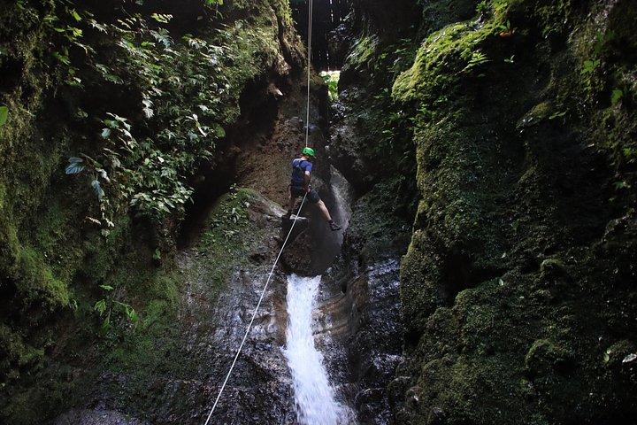 Pure Trek Canyoning & Rainforest Falls Adventure Combo
