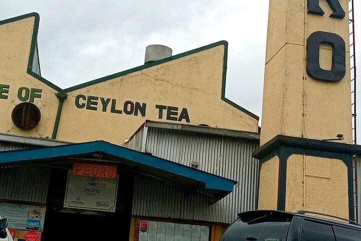 Guida turistica di Nuwara Eliya
