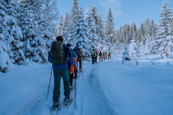 Montenegro Raquetas de nieve Durmitor