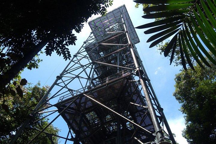 マナウス全日ツアー、オペラハウス、植物園＆ビーチ