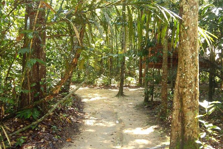 マナウス全日ツアー、オペラハウス、植物園＆ビーチ