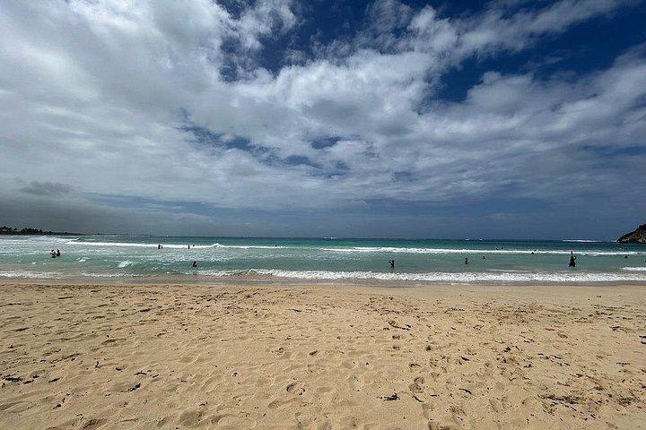 Punta Cana Buggy with Chocolate, Coffee & Cave Swim