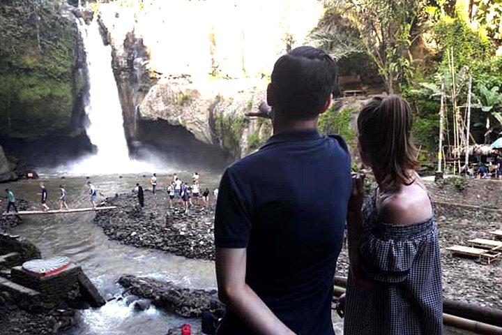 Perfekt dagstur til Ubud