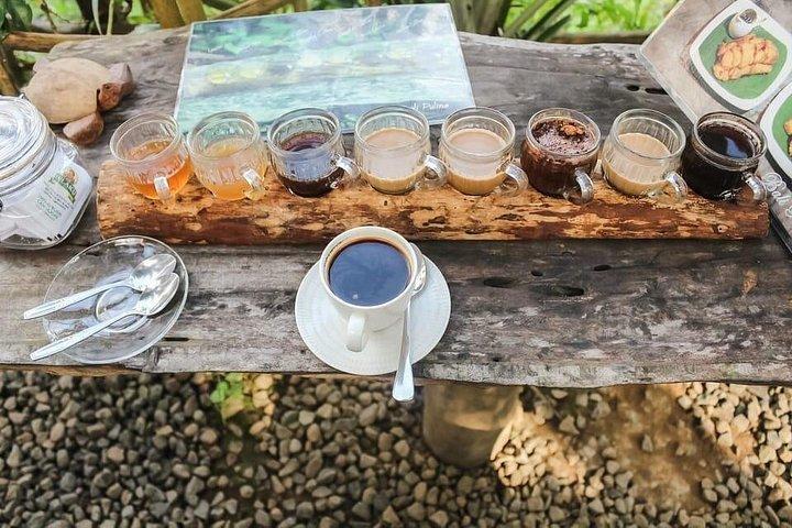 Perfekt dagstur til Ubud