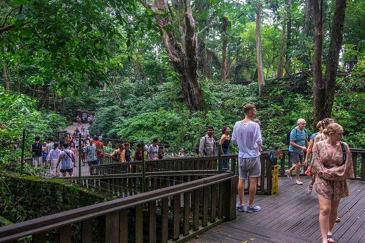 Perfekt dagstur til Ubud