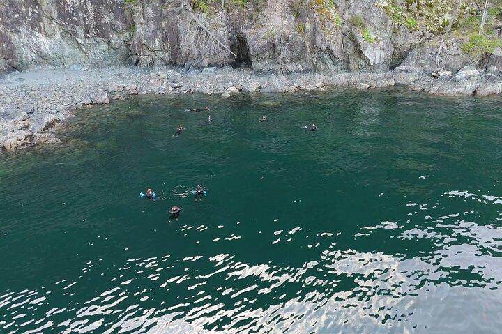 バンクーバーユネスコ生物圏保護区シールズシュノーケルカヤックボートツアー