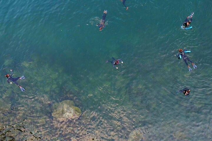 バンクーバーユネスコ生物圏保護区シールズシュノーケルカヤックボートツアー