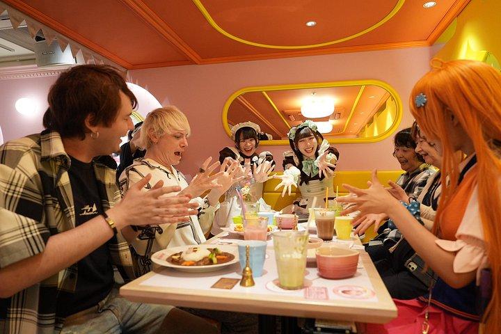 秋葉原バケーションパッケージ 通訳案内士とコスプレイヤーが同行!