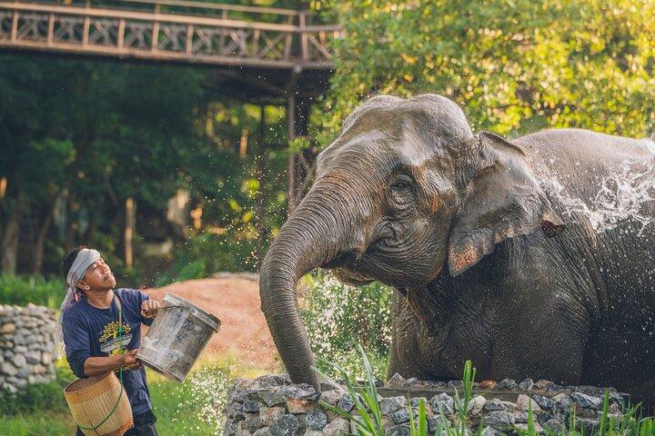 サムイゾウ王国エシカルサンクチュアリとスカイウォークツアー