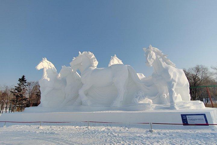 Small Group Tour to Harbin Sun Island