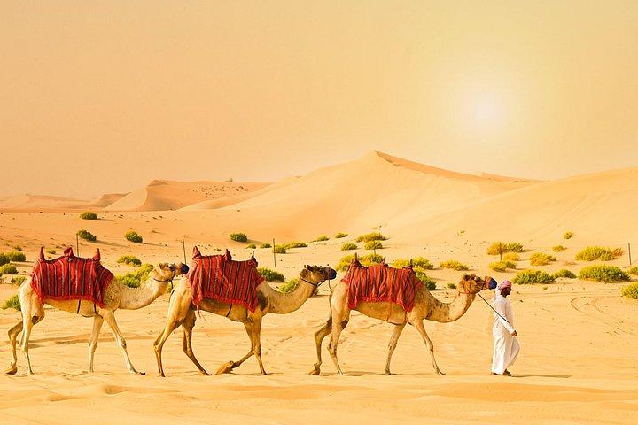 Halvdags ökensafari från Abu Dhabi