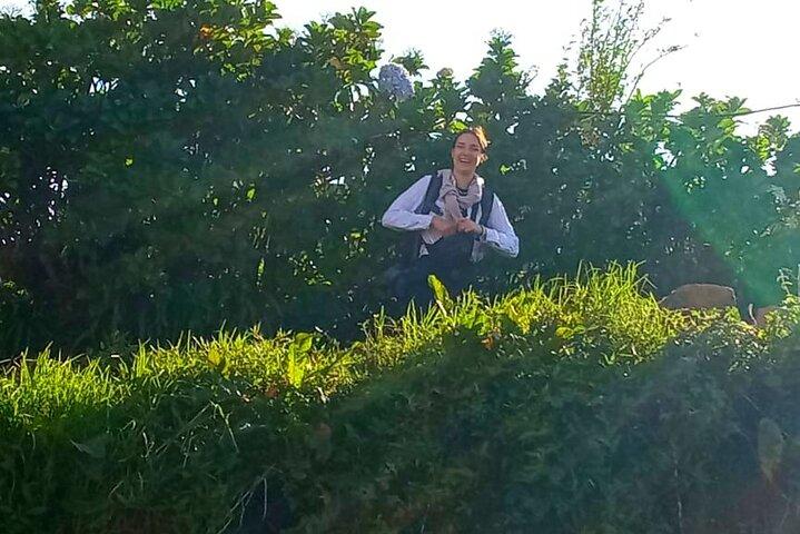 Guida turistica di Nuwara Eliya