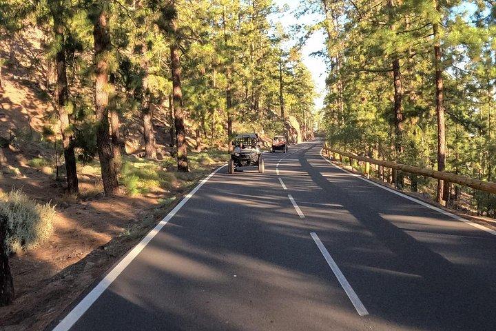 バギーツアー火山テイデデイ＆サンセット