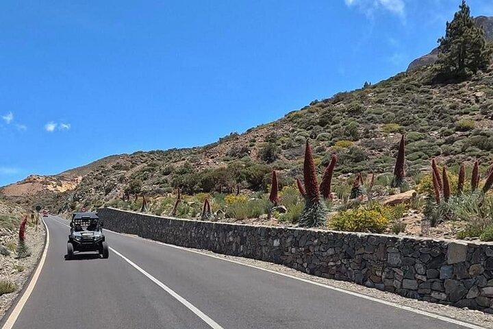 Buggy Tour Vulkan Teide im Teide Nationalpark