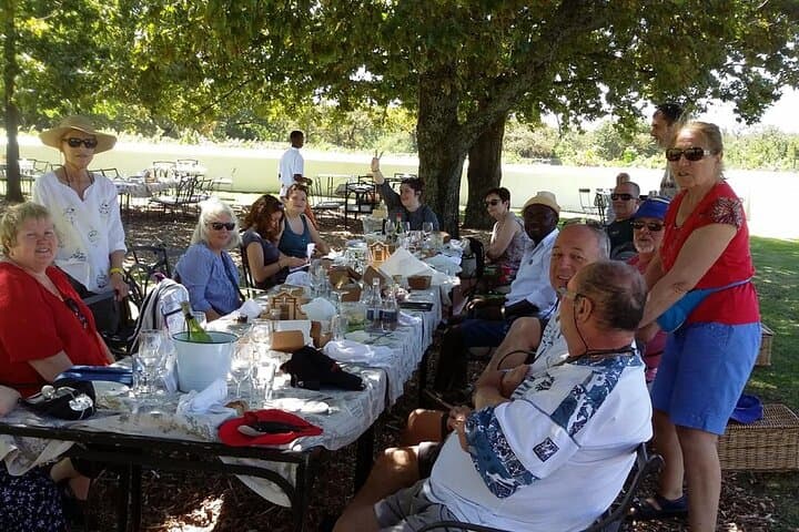 Cape Town Giraffe House Big Cats Encounter and Wine Tasting