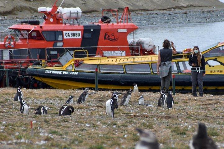 Pinguïntour naar eiland Magdalena per boot vanuit Punta Arenas