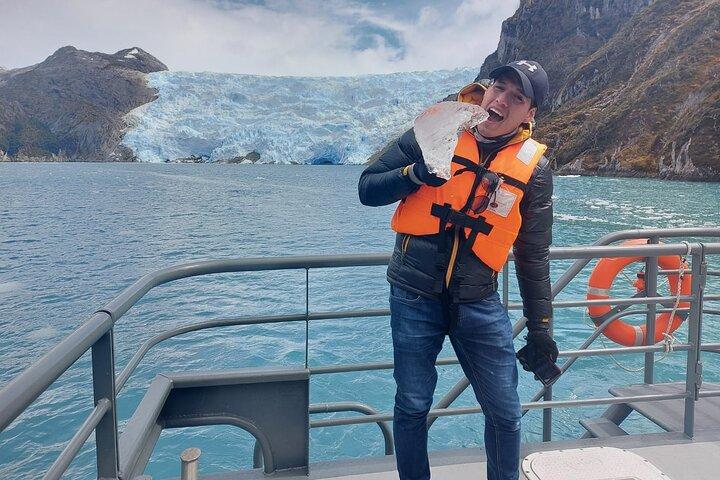 Wale, Pinguine und Gletscher Navigation von Punta Arenas