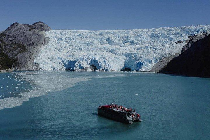 Whales, Penguins & Glaciers Navigation From Punta Arenas